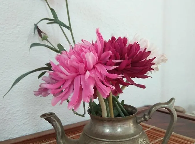 El Cerro De La Luna 2*